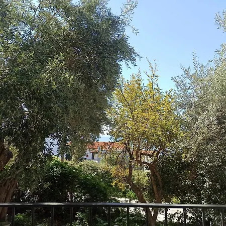 Greekowl *