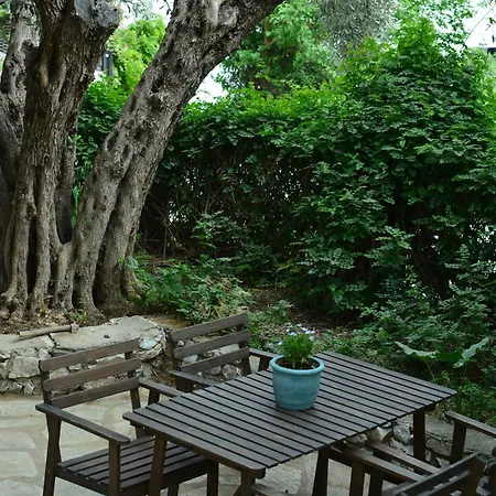 Greekowl Apartamento *